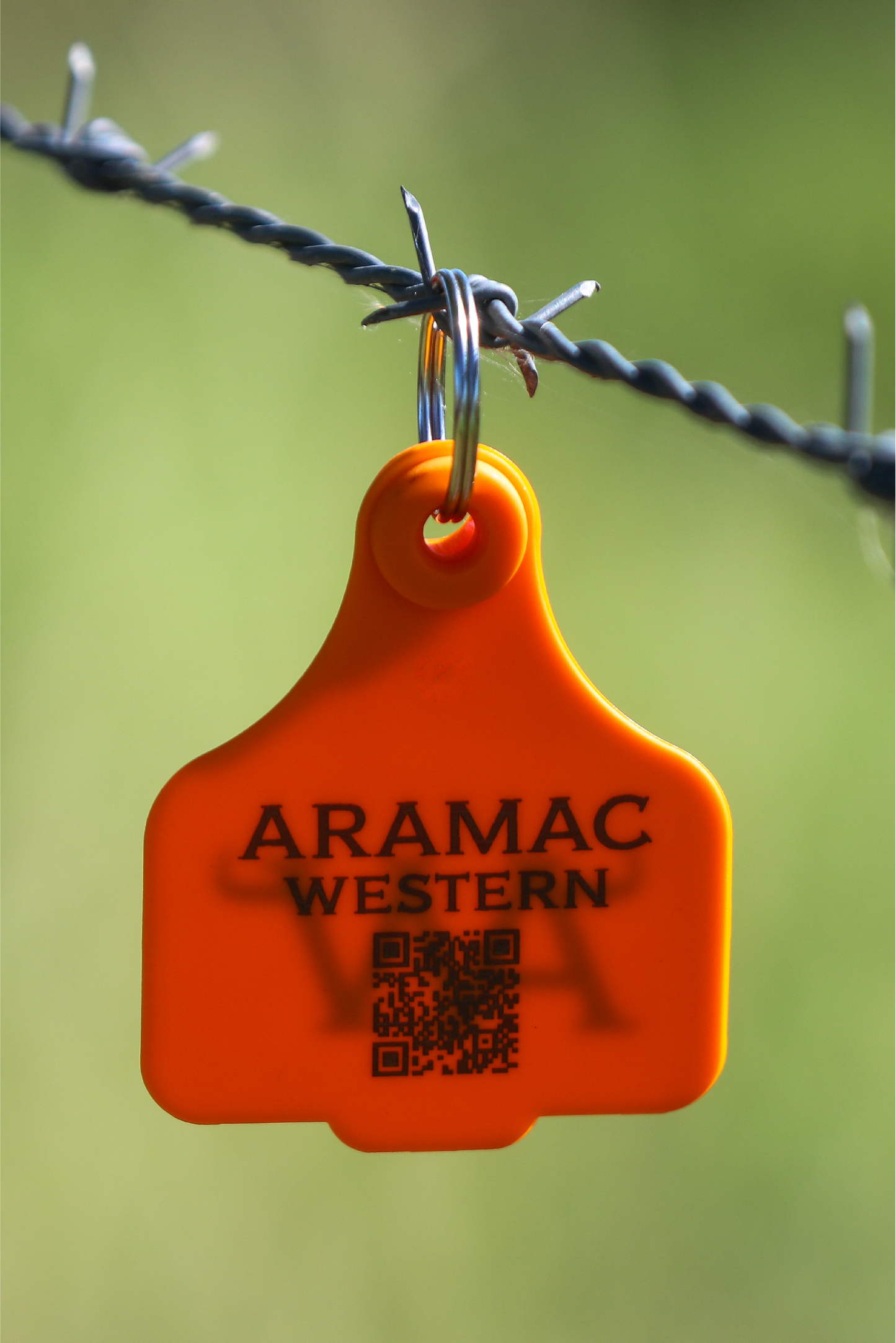 CATTLE TAGS