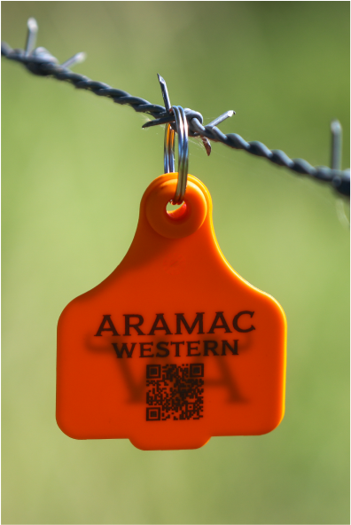 CATTLE TAGS